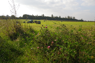 Baling legume herb mix at Lower Smite Farm