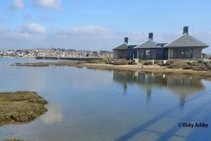 Dorset Wildlife Trust