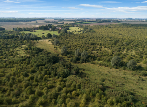 Strawberry Hill Farm