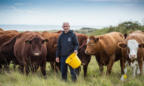 cow wildlife trust