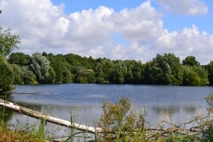 Wiltshire Wildlife Trust