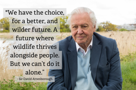 David Attenborough
