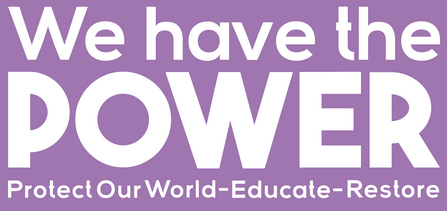 we have the power logo